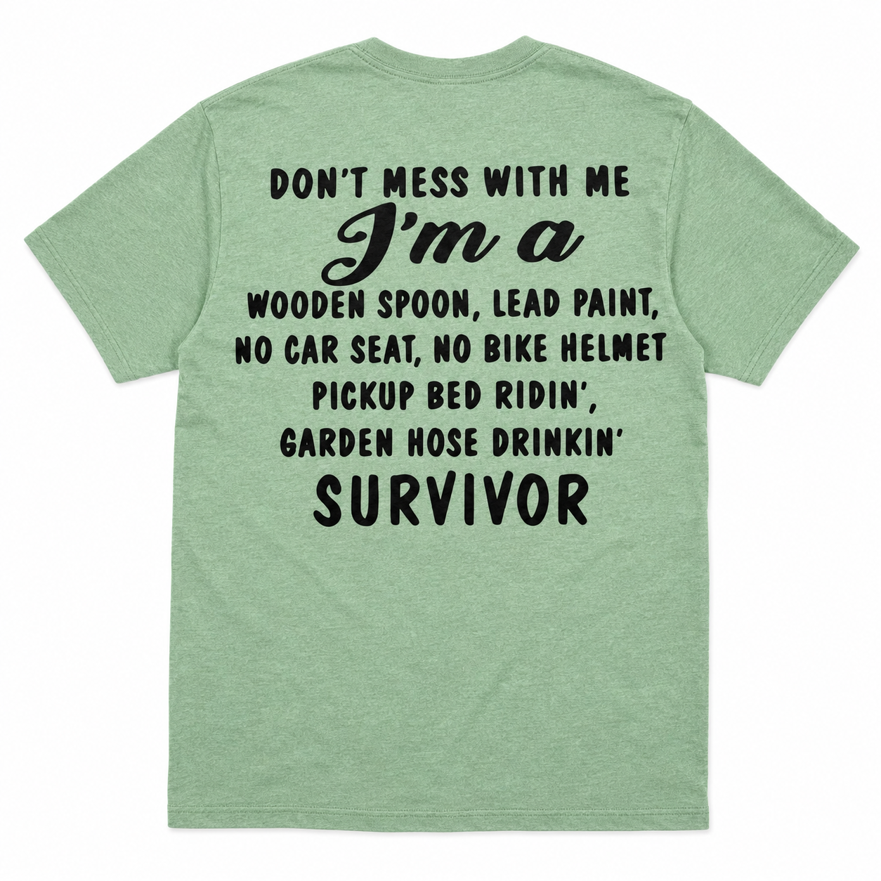 Wooden Spoon Lead Paint Survivor Funny T-Shirt